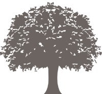 Tilquin Family Tree UITBREIDING